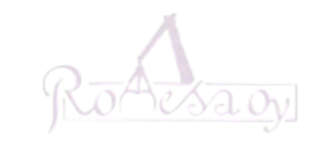 Romesa Oy logo